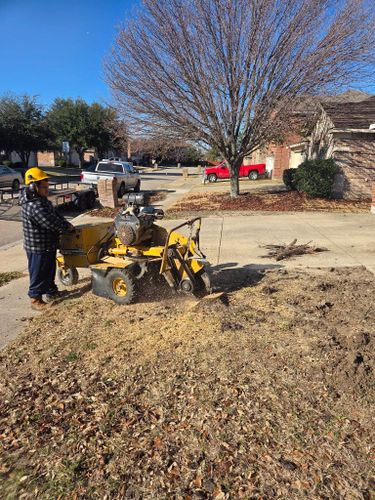 All Photos for Lavon Lawn Plus in Lavon, TX