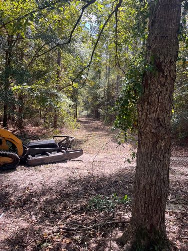 Land Clearing for Pinewood Land Management LLC in Nashville, GA