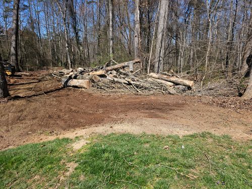 All Photos for ABC Tree Service in Dobson, NC