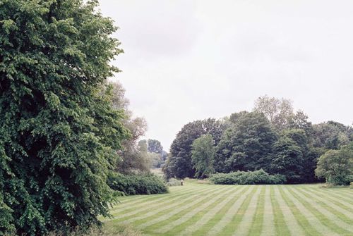  for Dm Lawncare service in Brentwood, TN