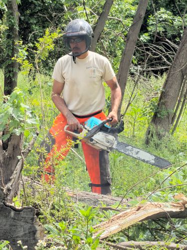 All Photos for Ramirez Tree Care in Elkin, NC