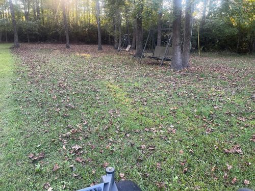 All Photos for Voilà Magic LawnCare Services in Jacksonville, NC