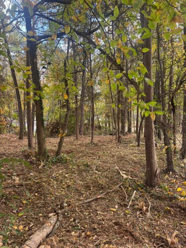  for Southern Turf & Landscape in Concord, NC