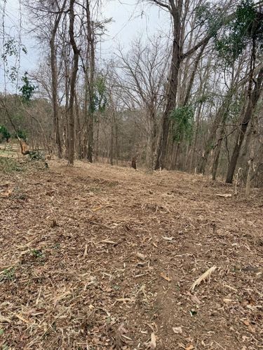  for T Crane Grading LLC in Clarkesville, GA