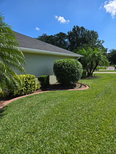 Tree and Hedge Care for Above the Lawn Cuts and Pressure Washing in Sebring, FL