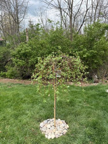 Landscaping for Gullion’s Lawn and Landscaping in DeMossville, KY