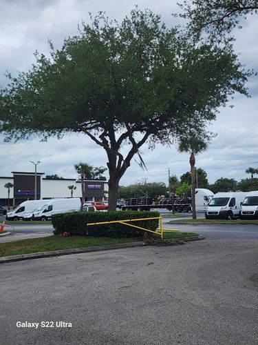 All Photos for Highlife Tree Care And Landscaping in Altamonte Springs, FL