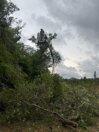 All Photos for All Seasons Tree and Land Works in Trenton, FL