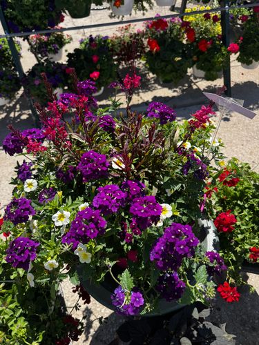 Gardening for Mayfield Landscaping in Staunton, IL