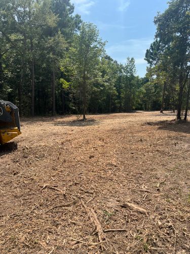  for 903 Mulching in East Mountain, TX