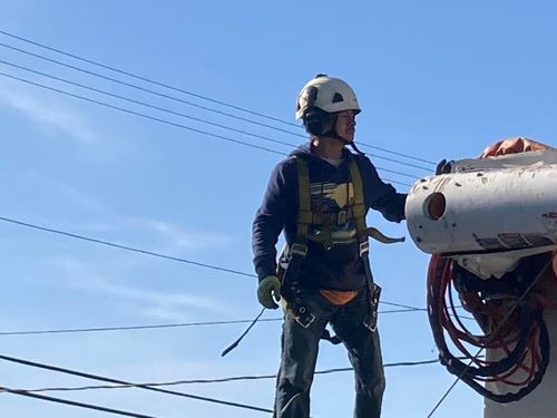 Tree Removal for The Tree Fairy in Temecula, CA
