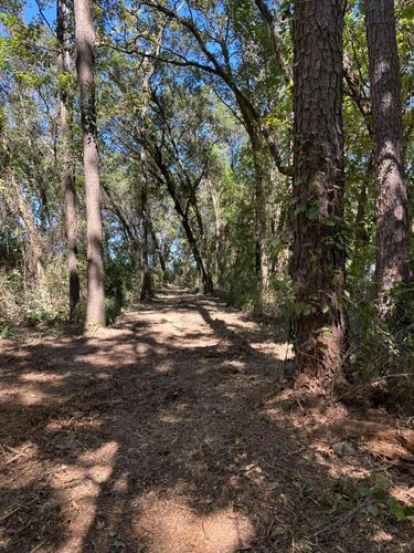  for White’s Land Maintenance in Milton,, FL