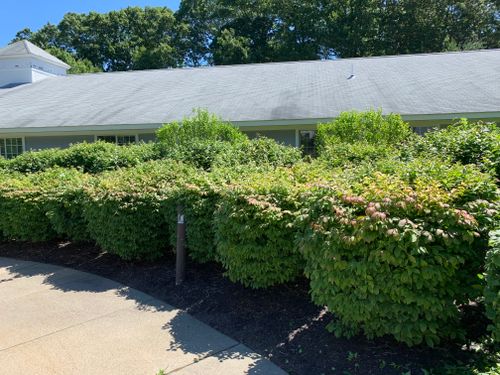 Hedge Trimming for Murray Mowing and More in Ashaway, RI