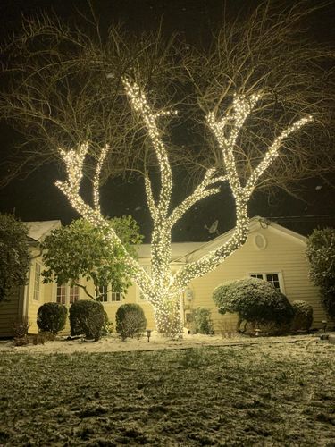 All Photos for Unique Outdoor Lighting in Short Hills, NJ