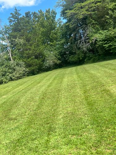 All Photos for The Yard Barbers in Somerset, KY