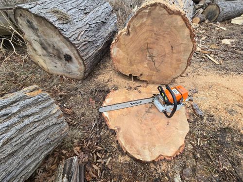  for D Hale Tree Service in Dexter, MI