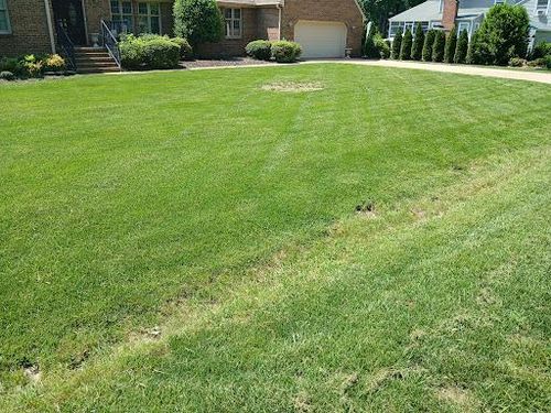  for Isaias Velasquez Landscaping and Services in Williamsburg, VA