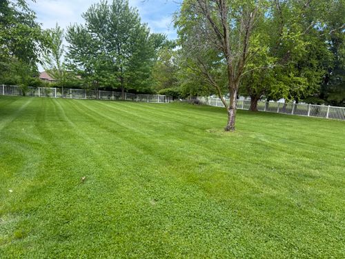  for Bearforce Lawn Care LLC in Greenfield, IN