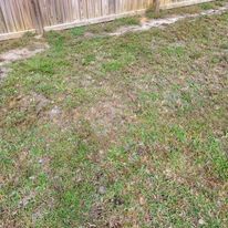 Lawn Aeration for All in One Landscaping in Jacksonville, NC