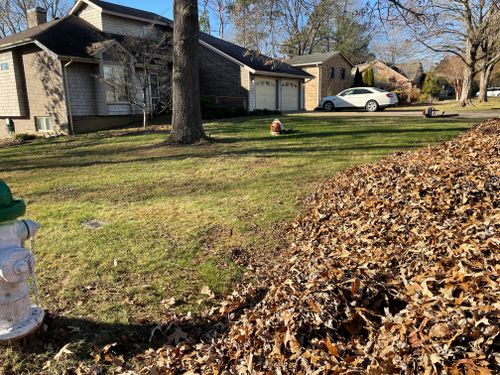 Leaf Removal for Bailey’s Lawn Care & Dirt Service in Murray, KY
