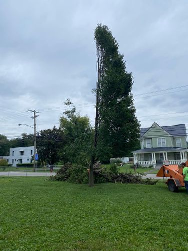 Fall and Spring Clean Up for Atwood’s Tree Care in Liberty,  KY