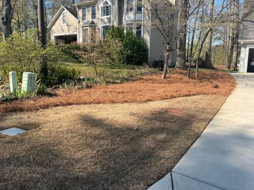 Tree Trimming for High Tree Service & Landscaping in Atlanta, GA