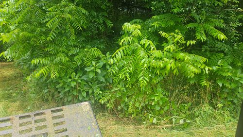  for B&B Land Management in Jamestown, TN