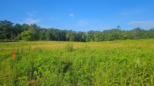  for B&B Land Management in Jamestown, TN