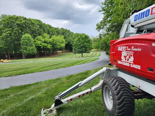  for Owens Tree Services in Inman, SC