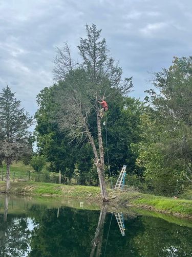 Fall and Spring Clean Up for Atwood’s Tree Care in Liberty,  KY