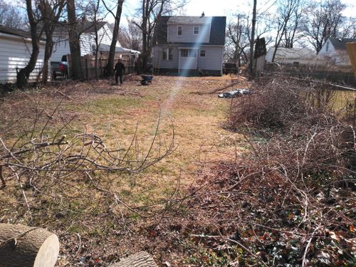 Yard for Blue Eagle Junk Removal in Oakland County, MI