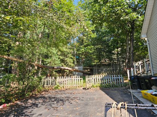 Tree Removal for Hired Gunz Services LLC in La Plata, MD