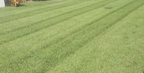 Lawn Care for Sunny Side Lawns in Brevard County,  FL