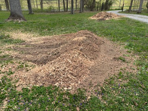 Stump Removal for Conrad's Stump Removal in Columbus, IN