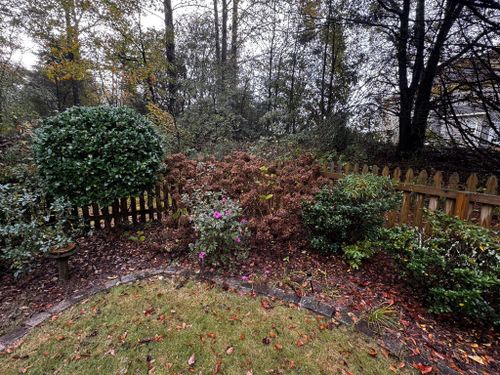  for Deeply Rooted Lawns – Hydroseeding & Sod Installation Services in Winder, GA