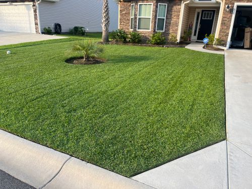 All Photos for New Creation Landscaping in Myrtle Beach, SC