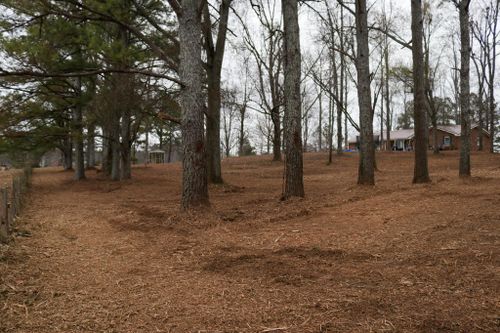 Mulching for Mud Creek Vegetation Management in Russellville, AL