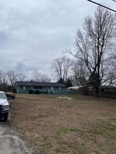  for Curtis Tree Service LLC in Hopkins County, KY