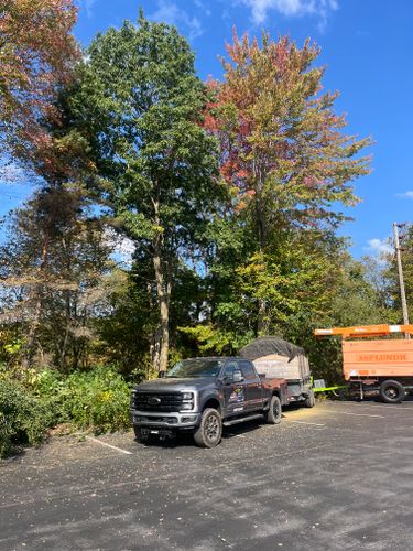  for J&E Tree & Excavation Services in Sandy, PA