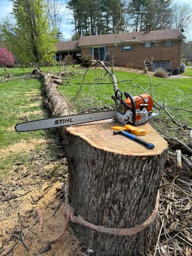 All Photos for Ramirez Tree Care in Elkin, NC