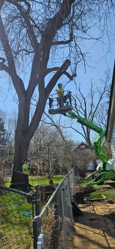 Tree Removal for Olson Tree Service, Inc in Rockford, IL