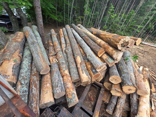 All Photos for 9 Oaks Tree Service and Excavation in Drakes Branch, VA