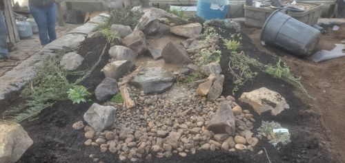 Water Features and Koi Fish for Freeland's Water Gardens in Clarksburg, WV