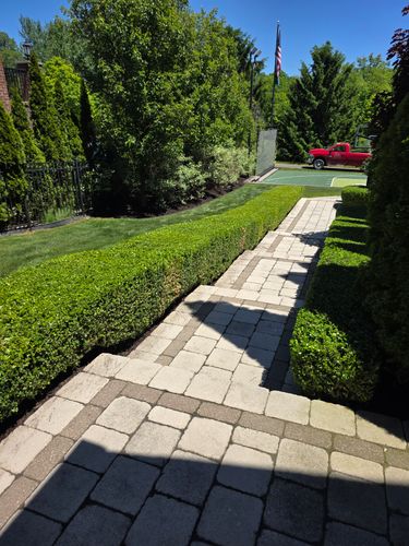  for Ivy Lawn and Landscaping in Oxford, MI