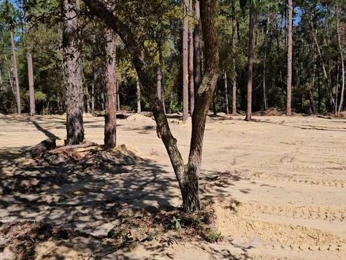  for J & E Land Clearing, LLC. in Dunnellon, FL