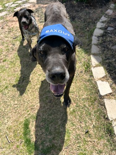  for Baxout Plumbing & Drain in Bristow, OK