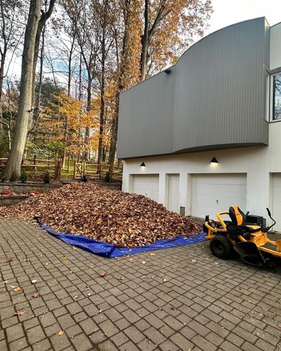 Spring And Fall Clean Up for LGZ Landscaping LLC in Belleville, NJ