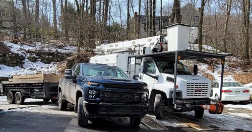 All Photos for AAA Tree Cutting in Shavertown, PA