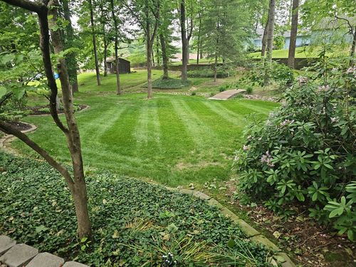  for The Grass Guys™ in Evansville, IN