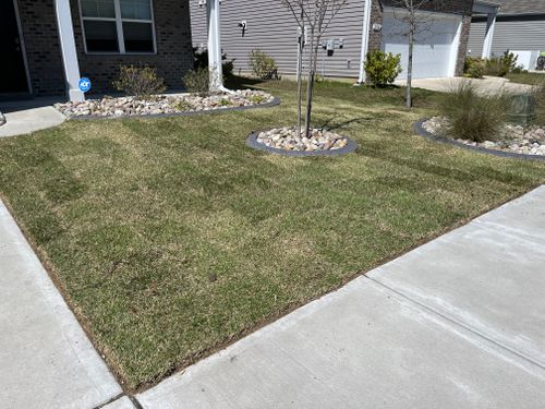 All Photos for New Creation Landscaping in Myrtle Beach, SC